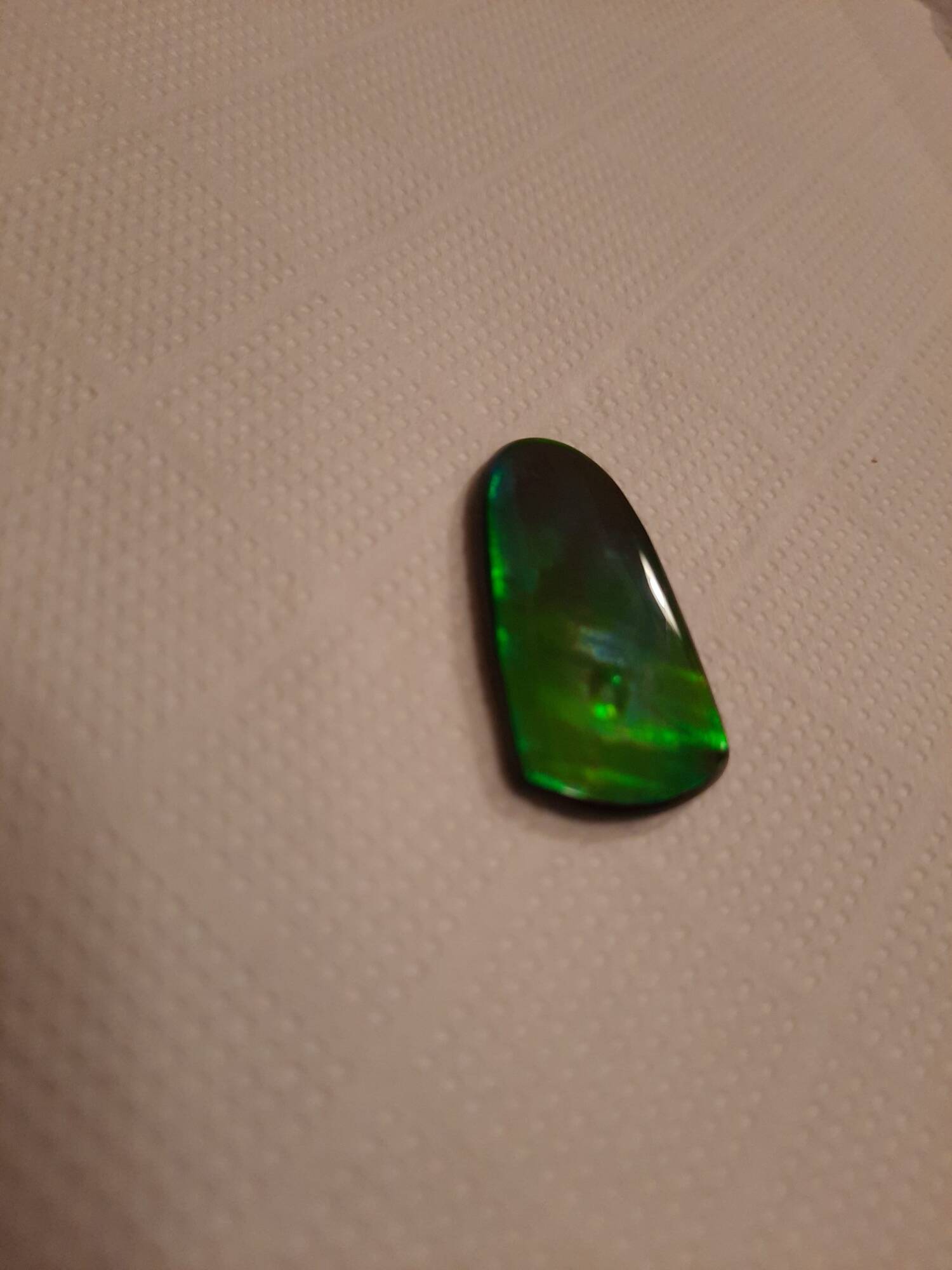 Grosse ammolite 2 3.5X1.8 200€.jpg