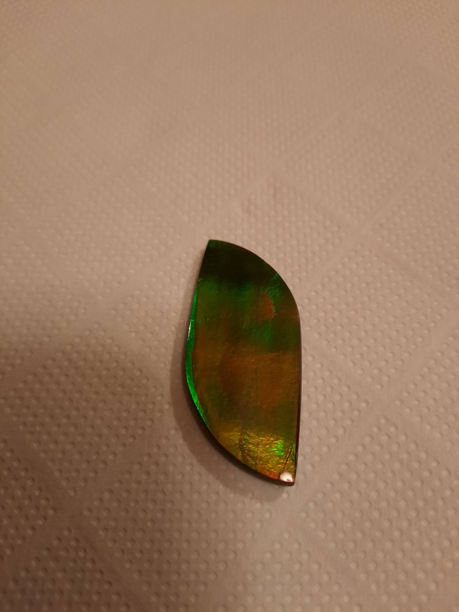 Grosse ammolite 3 4.5x2 250€.jpg