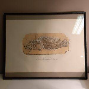 planche litho 1.jpg
