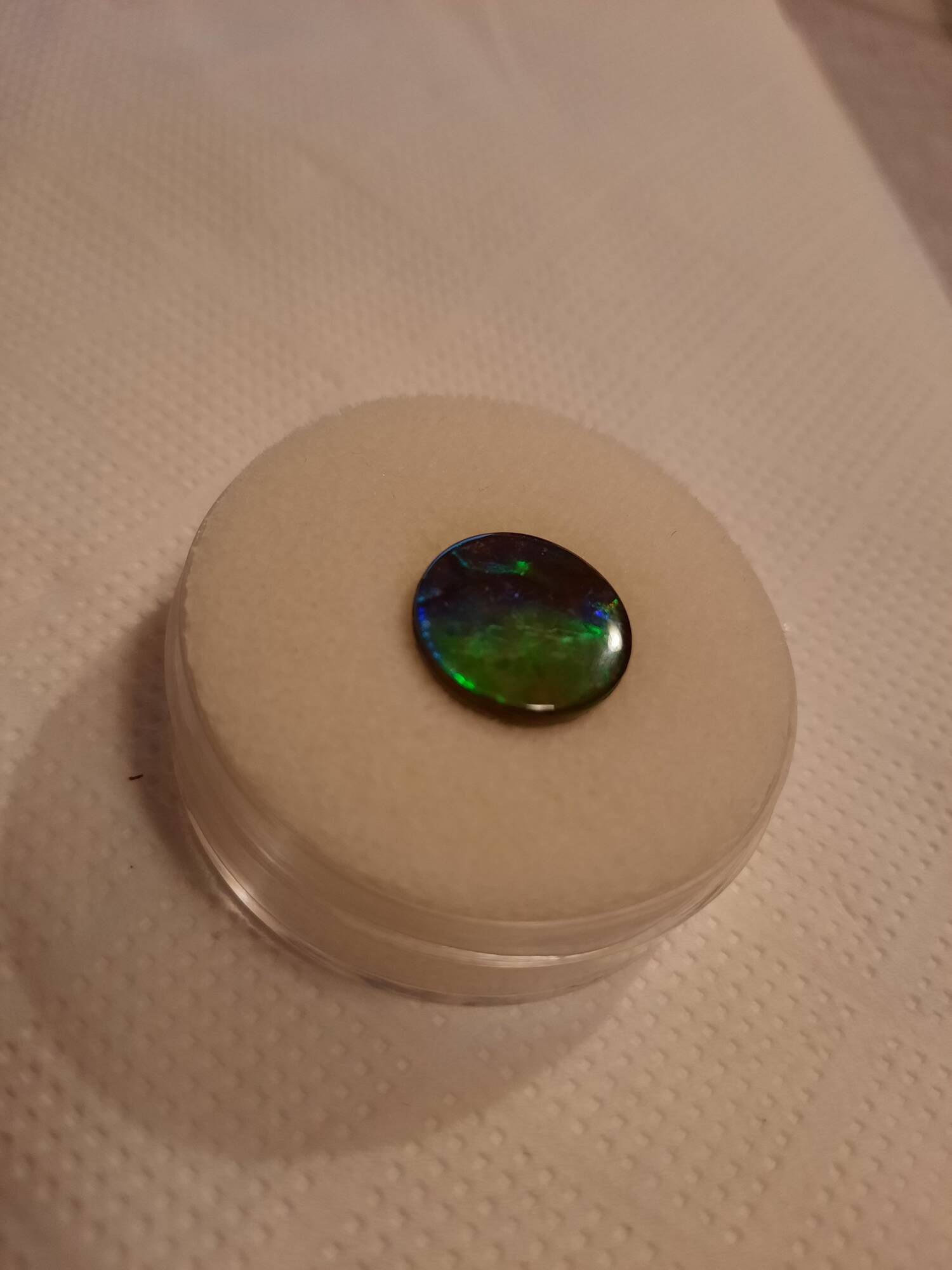 AMMOLITE cabochon 150€.jpg