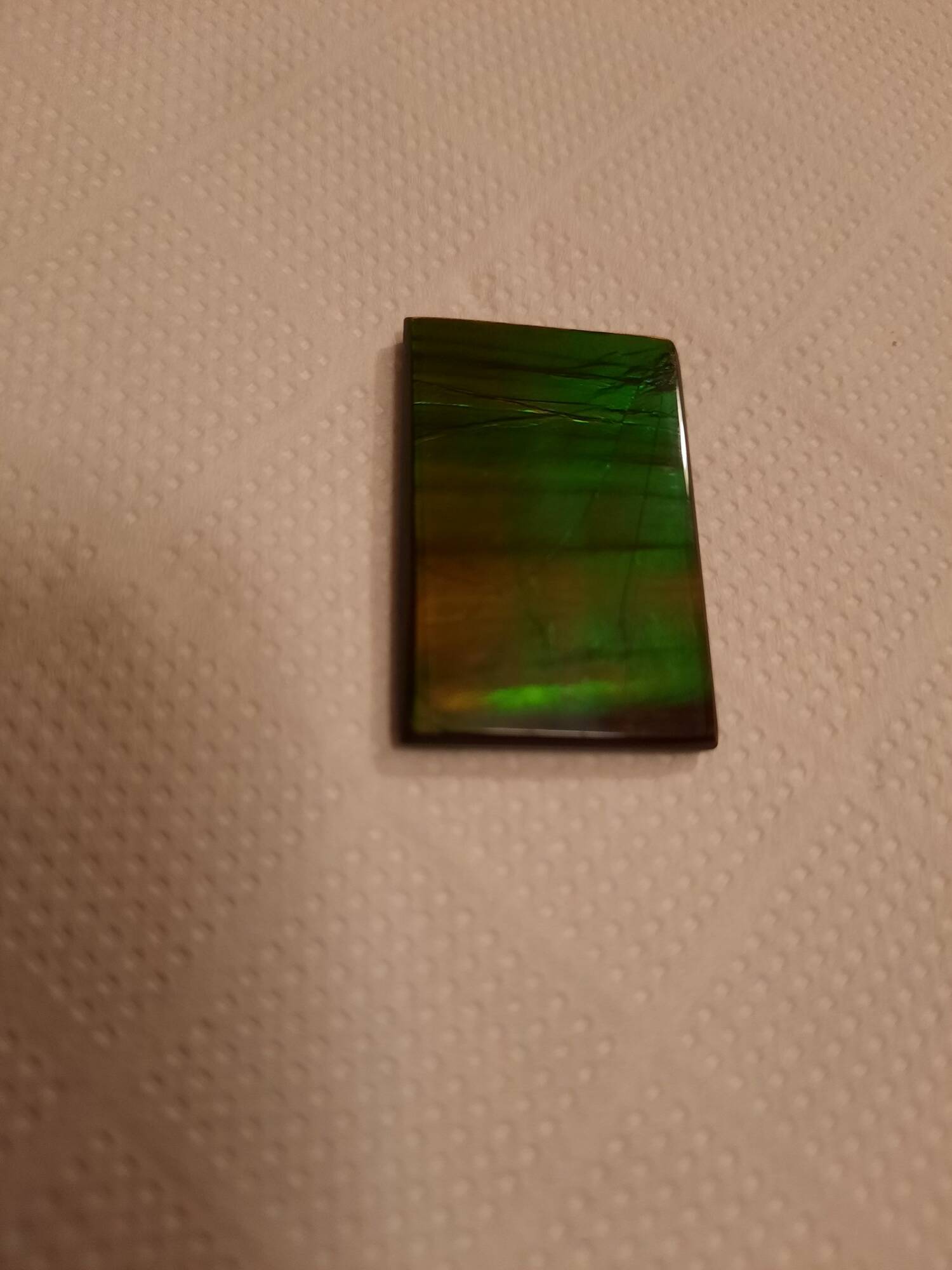 Grosse ammolite 1 3.2x2 150€.jpg