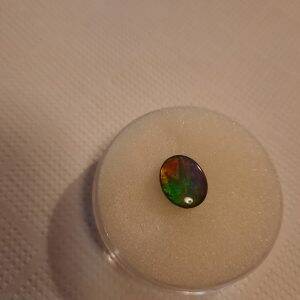 ammolite cabochon 80€.jpg