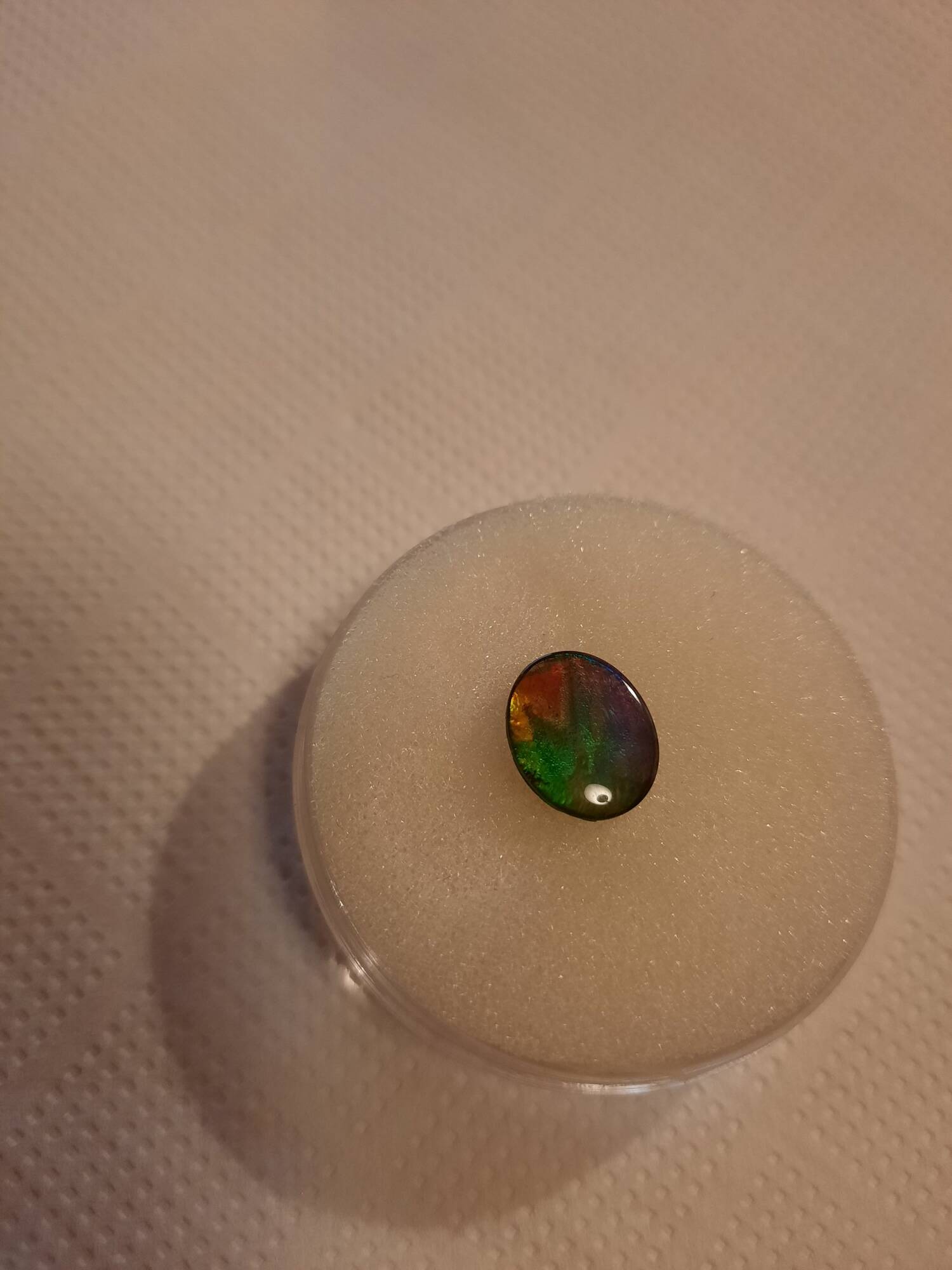 ammolite cabochon 80€.jpg