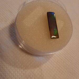 ammolite baton 90€.jpg