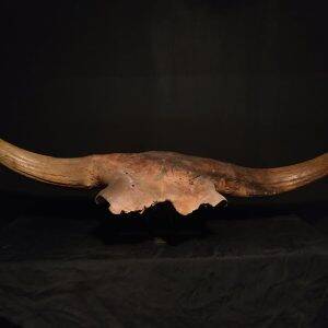 Massacre de bison (Dnipro river Kermenchuk, Ukraine) 110x33 cm 1200€.jpg