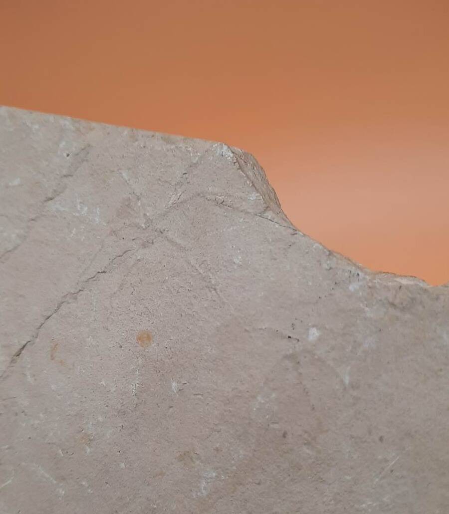 332145700_206567048702074_8646551083976626652_n_edited.jpg