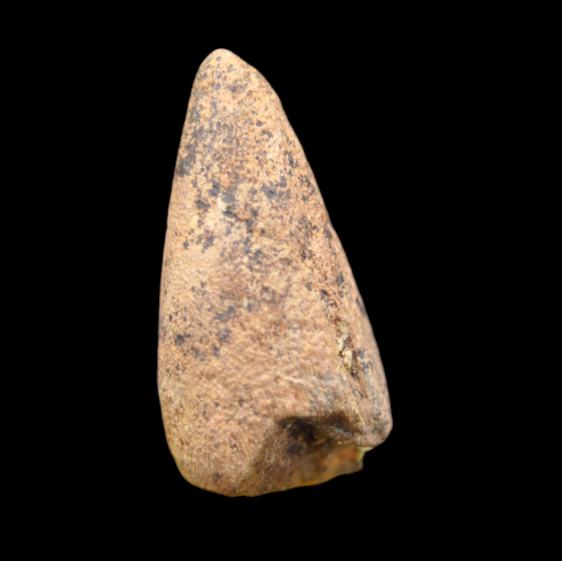 D-87 B.png
