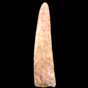 D-96 A.png