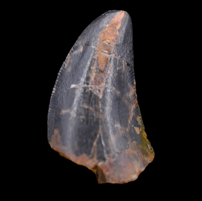 D-91 A.png